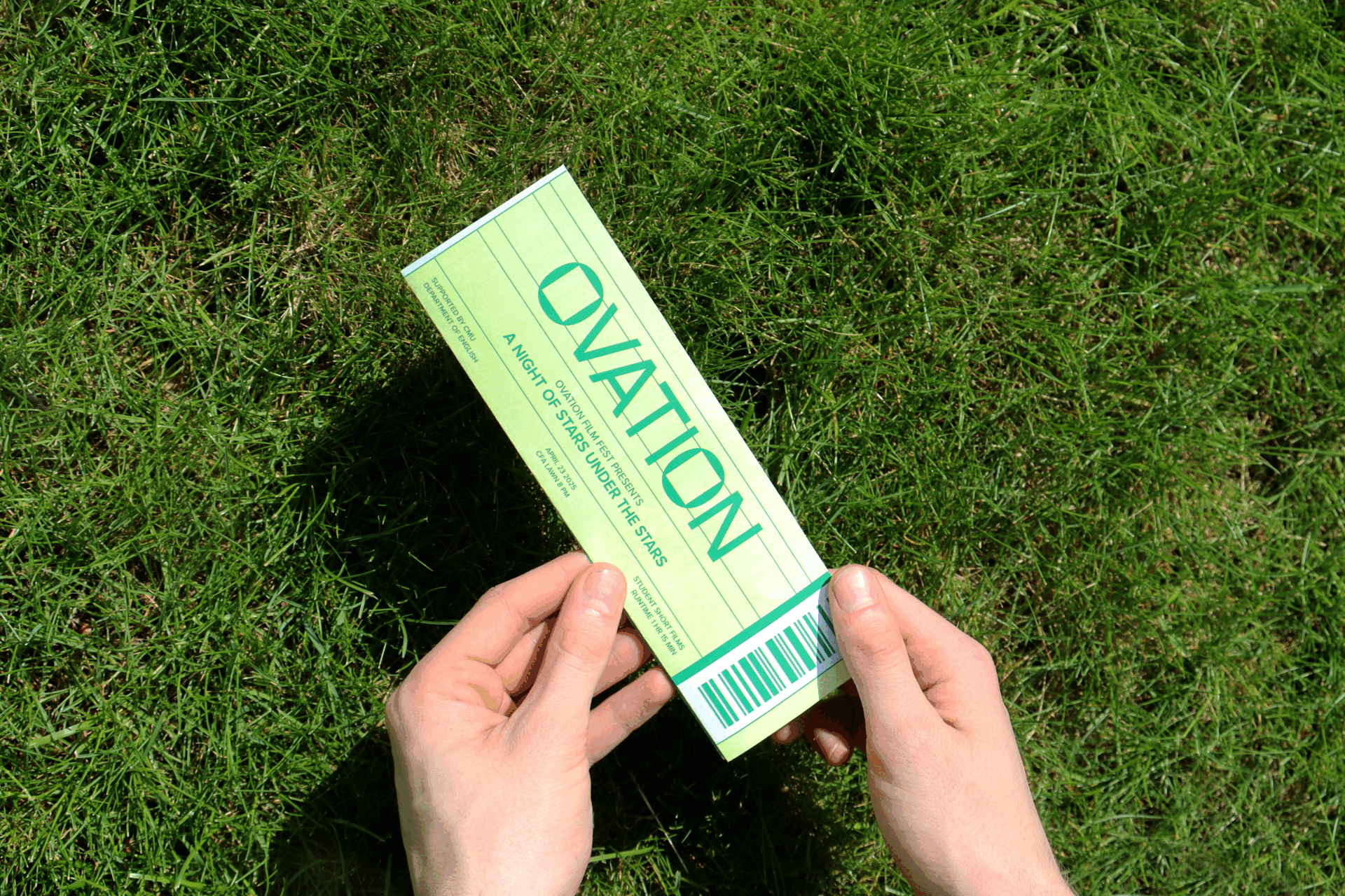 Program grass